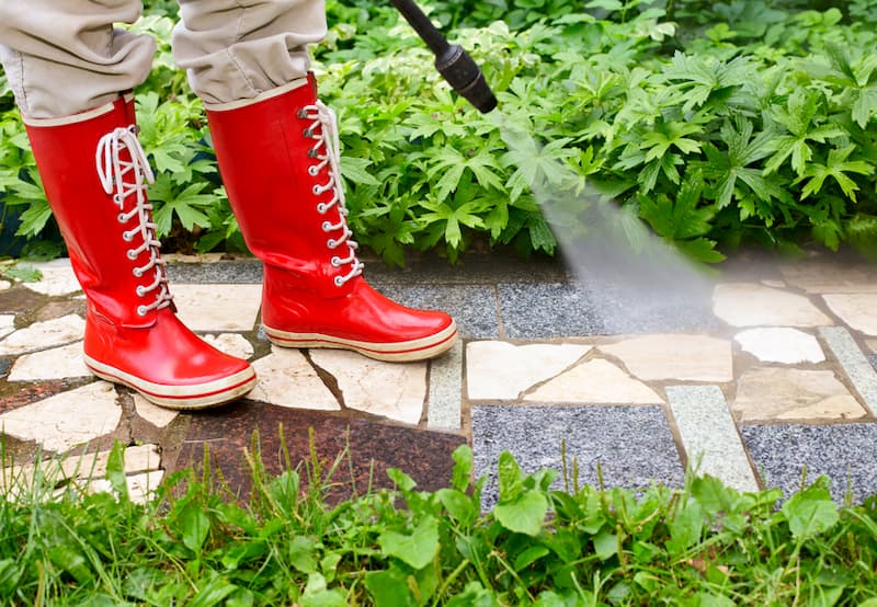 The Role Of Power Washing In Pest Control